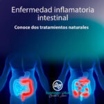 Enfermedad inflamatoria intestinal. Conoce dos tratamientos naturales