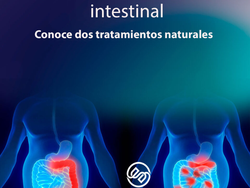 Enfermedad inflamatoria intestinal. Conoce dos tratamientos naturales